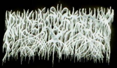 logo Intuneric Strigoii